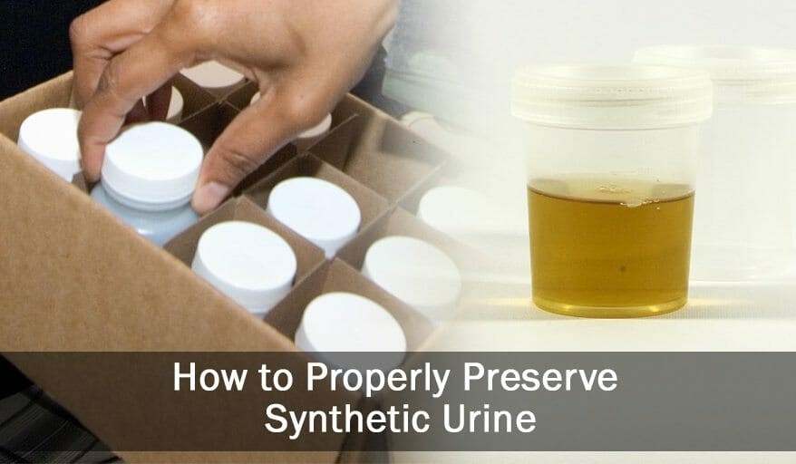 Synthetic Urine Instructions Lake View Heights Tampa FL